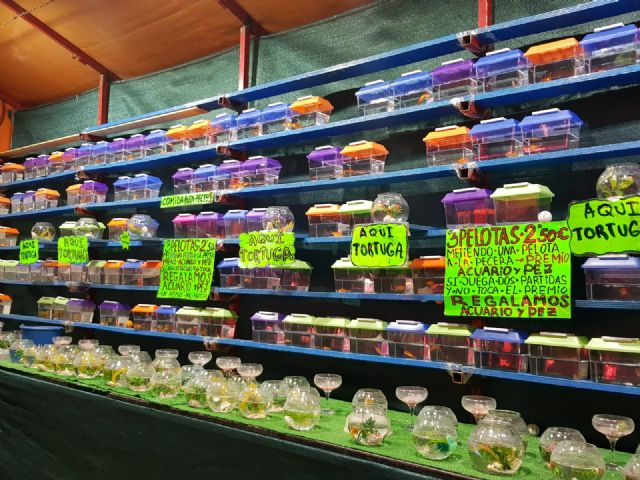 Cambiemos Murcia denuncia el uso de animales como premio en la Feria - 3, Foto 3