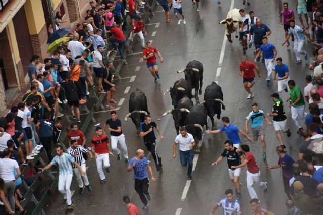 Balance de Feria y Fiestas de Calasparra 2018 - 5, Foto 5