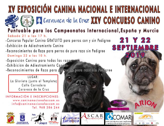 El concurso canino de Caravaca cumple 25 años arropado por actividades para fomentar la tenencia responsable de animales - 3, Foto 3
