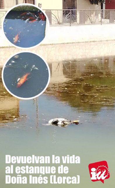 IU-Verdes alerta de un episodio de anoxia en el estanque de Doña Inés que está acabando con su fauna - 2, Foto 2