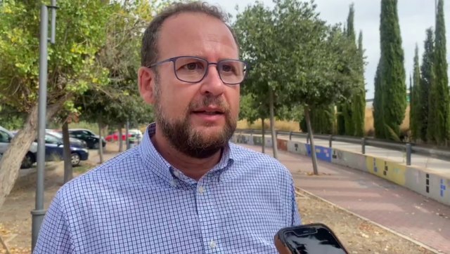 El abandono del arbolado por parte del PSOE genera problemas de inseguridad ciudadana - 1, Foto 1