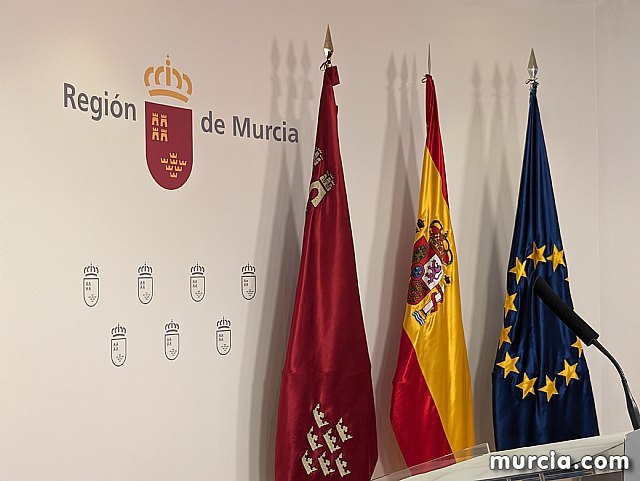 El Gobierno regional considera inadmisible el retraso en la planificación eléctrica estatal y exige incluir las necesidades de la Región - 1, Foto 1