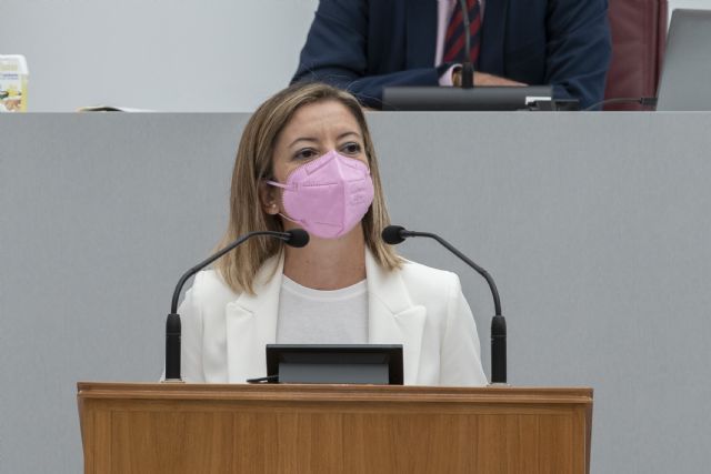 Mª Dolores Valcárcel: La Región necesita más efectivos de Guardias Civiles para que cese el aumento de la delincuencia y la inseguridad ciudadana - 1, Foto 1