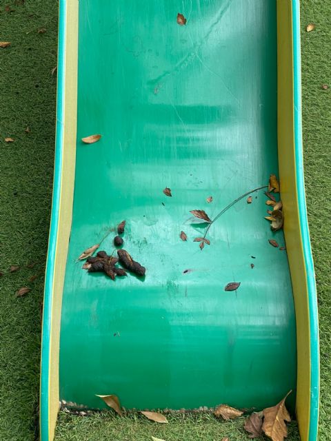 Parques de Las Torres de Cotillas abandonados y con toda clase de suciedad - 4, Foto 4