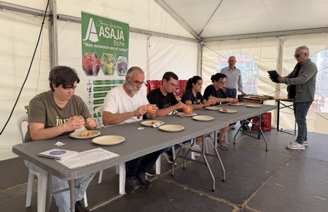 Sofía Torres gana el concurso de pelar granadas de Elche en la Fireta del Camp d'Elx - 4, Foto 4