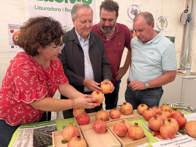 Sofía Torres gana el concurso de pelar granadas de Elche en la Fireta del Camp d'Elx - 5, Foto 5