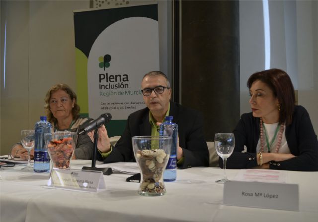 Los hermanos de las personas con discapacidad intelectual aprenden a reconocer y respetar sus derechos - 3, Foto 3