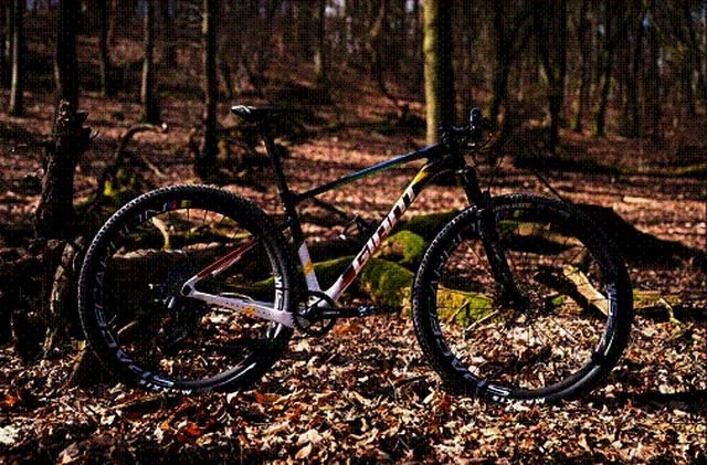 Giant Polimedical Team se proclama Campeón del Mundo de XCM por segunda vez consecutiva - 2, Foto 2