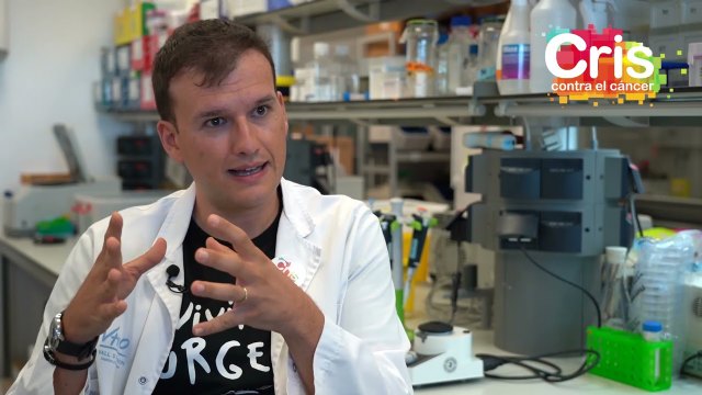 Movember: importancia de investigación del cáncer de próstata agresivo y sin tratamiento - 1, Foto 1