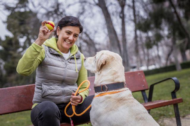 Tres claves para detectar si perros y gatos sufren diabetes - 1, Foto 1