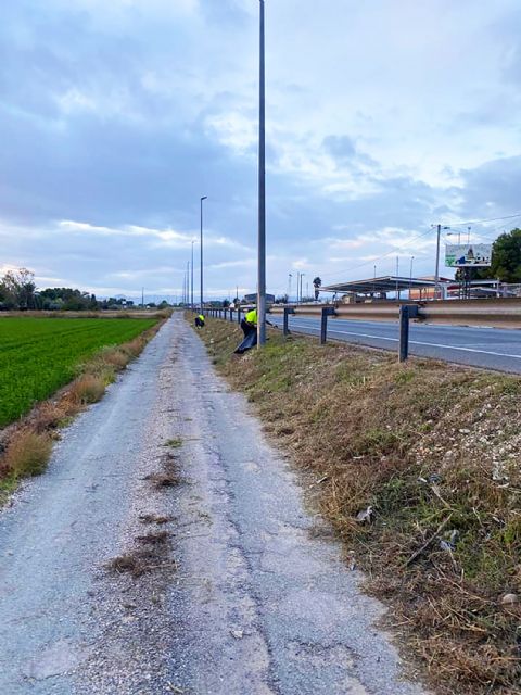 Tareas de desbroce y limpieza en la N344 a su paso por Las Torres de Cotillas - 3, Foto 3