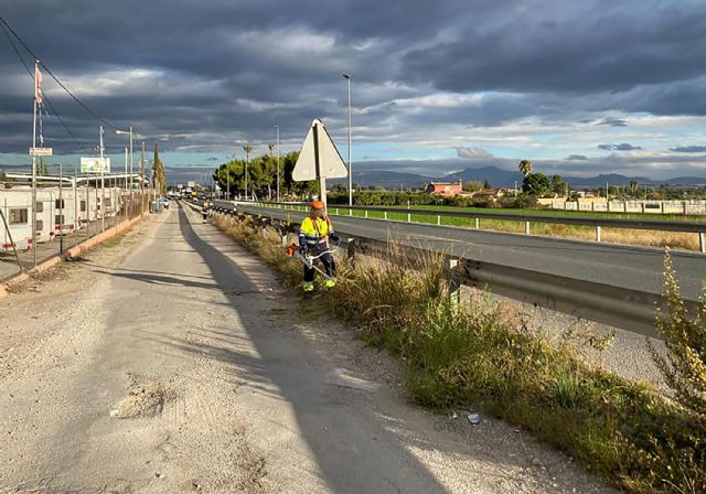 Tareas de desbroce y limpieza en la N344 a su paso por Las Torres de Cotillas - 4, Foto 4