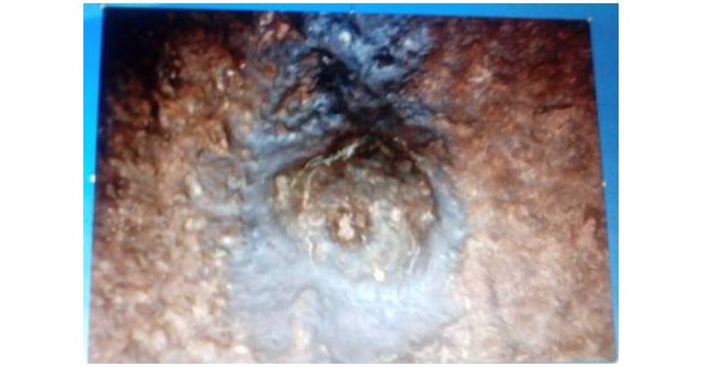 Sagsayhuaman. nº 2 - 3, Foto 3