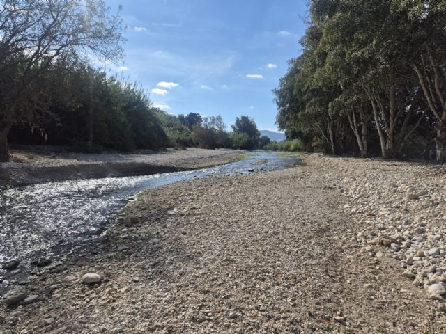 La CHS finaliza los trabajos de emergencia por la DANA en el río Argos - 2, Foto 2