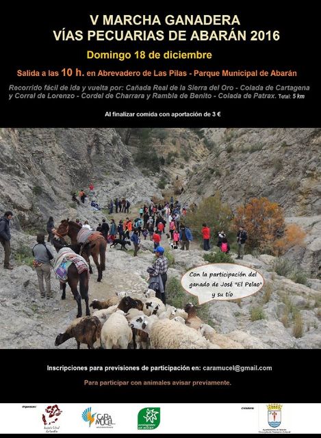 V Marcha Ganadera Vías Pecuarias de Abarán 2016 - 1, Foto 1