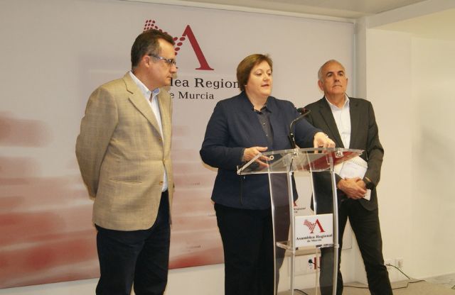 Martínez Baños: El Partido Popular menosprecia a los Ayuntamientos de la Región - 2, Foto 2