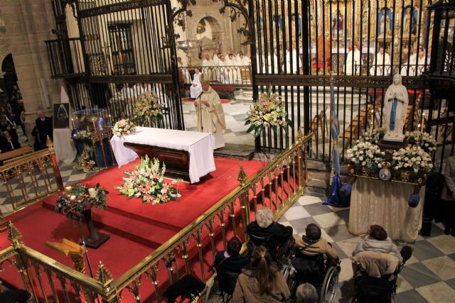 “No hemos ido nosotros a la Virgen de Lourdes, ha sido ella la que ha peregrinado a nuestro corazón” - 2, Foto 2