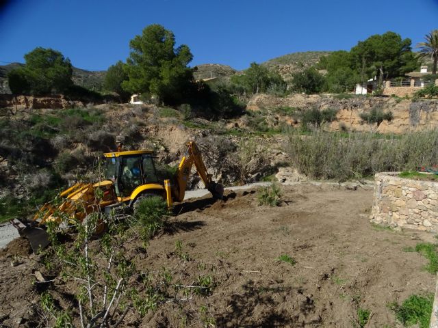 ANSE substituye parte de la caña invasora por arbustos autóctonos en el espacio protegido de la Muela-Cabo Tiñoso - 2, Foto 2