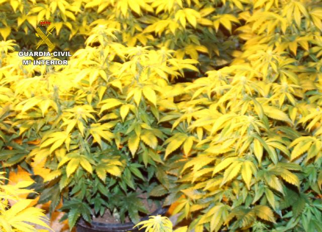 La Guardia Civil esclarece el homicidio de un vecino de Yéchar-Mula - 2, Foto 2