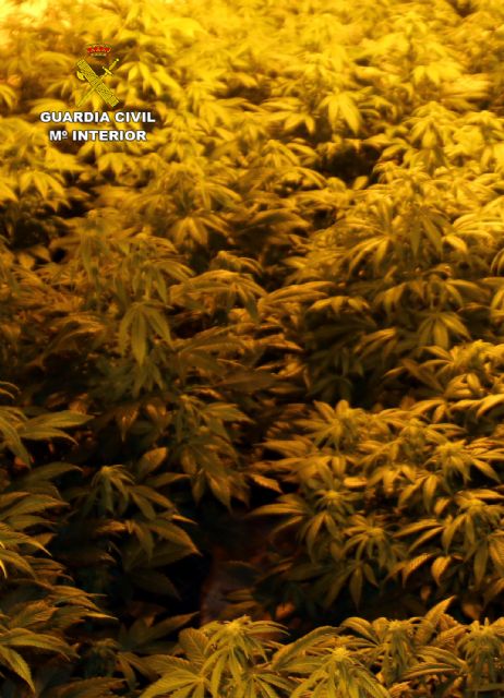 La Guardia Civil esclarece el homicidio de un vecino de Yéchar-Mula - 4, Foto 4