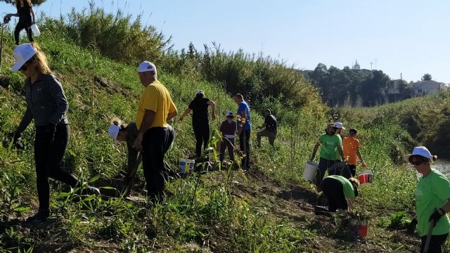 El Programa de Voluntariado Ambiental ¡Voluntari@s Naturalmente! de Molina de Segura cierra el año con un balance muy positivo en cuanto a participación y acciones desarrolladas - 1, Foto 1