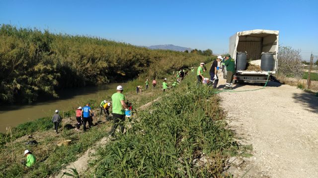 El Programa de Voluntariado Ambiental ¡Voluntari@s Naturalmente! de Molina de Segura cierra el año con un balance muy positivo en cuanto a participación y acciones desarrolladas - 3, Foto 3
