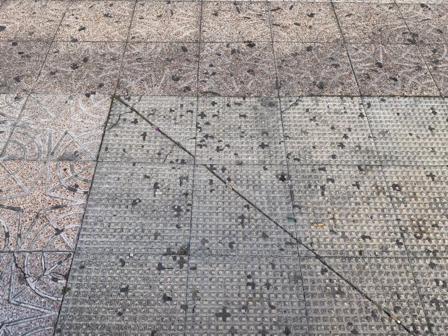 PSOE: El Caravaca de la Cruz y sus pedanías más sucias que antes de ejecutar el brillante plan especial de limpieza - 2, Foto 2