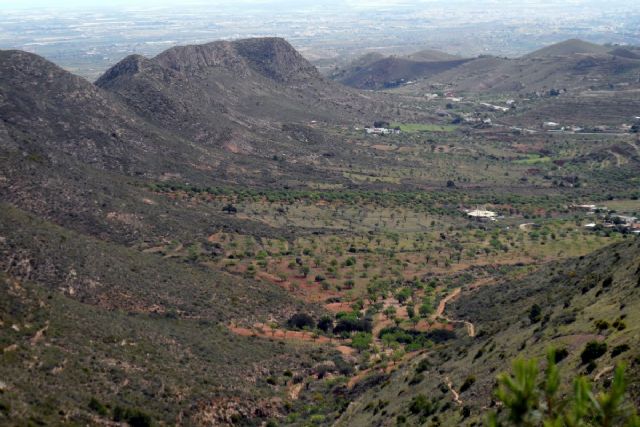 La Torre de Nicolás Pérez tendrá el centro de visitantes del espacio protegido de La Muela, Tiñoso y Roldán - 1, Foto 1