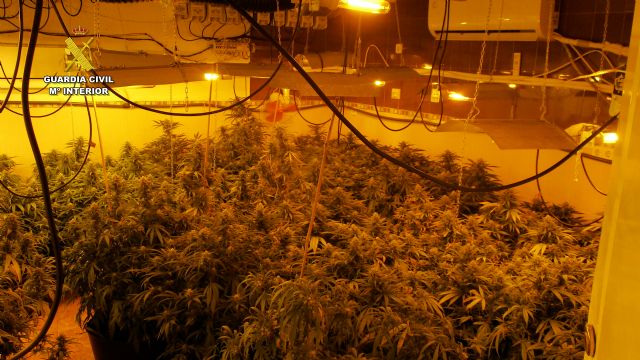 La Guardia Civil desmantela en San Javier un grupo delictivo que cultivaba gran cantidad de marihuana - 4, Foto 4