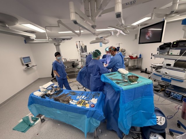 El SMS informa de que más de 16.000 pacientes no han podido ser atendidos esta semana a causa de la huelga de médicos - 1, Foto 1