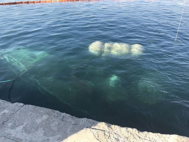 Un equipo de buceadores realiza trabajos para extraer el velero Penélope, hundido en el puerto de Águilas - 2, Foto 2