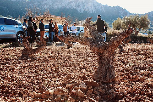 Casa Rojo presenta “Las Viñas Bastardas 2018” - 1, Foto 1