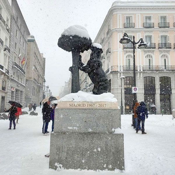 Gestión del caos filomena - 3, Foto 3