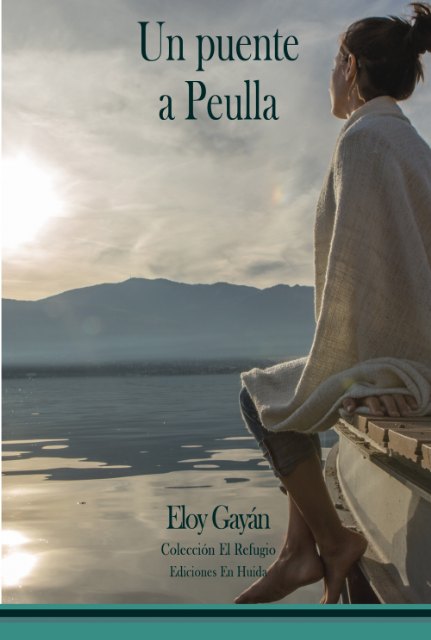 Un puente a Peulla - 1, Foto 1