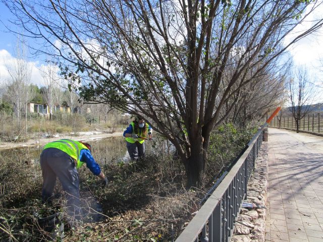 Alumnos y alumnas del PMEF 'Jardines de Bullas' realizan tareas de mantenimiento en el Complejo de La Rafa - 2, Foto 2