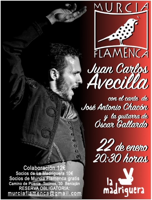 Juan Carlos Avecilla en Murcia Flamenca - 1, Foto 1