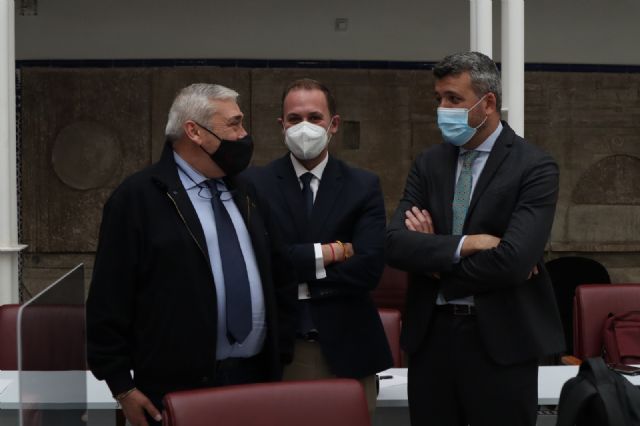 El grupo parlamentario liberal pide financiación extraordinaria para programas de juventud con motivo de la celebración de su Año Europeo - 1, Foto 1