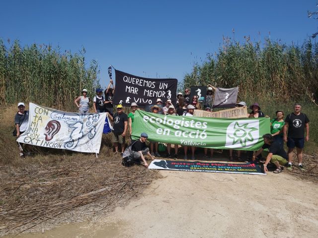 Ecologistas en Acción pone en marcha la web: “El verdadero precio de los alimentos Mediterráneos” - 3, Foto 3