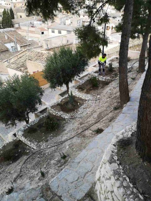 El Ayuntamiento de Caravaca planta 500 nuevos árboles y arbustos en zonas verdes del casco urbano y pedanías - 1, Foto 1