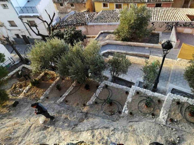 El Ayuntamiento de Caravaca planta 500 nuevos árboles y arbustos en zonas verdes del casco urbano y pedanías - 2, Foto 2