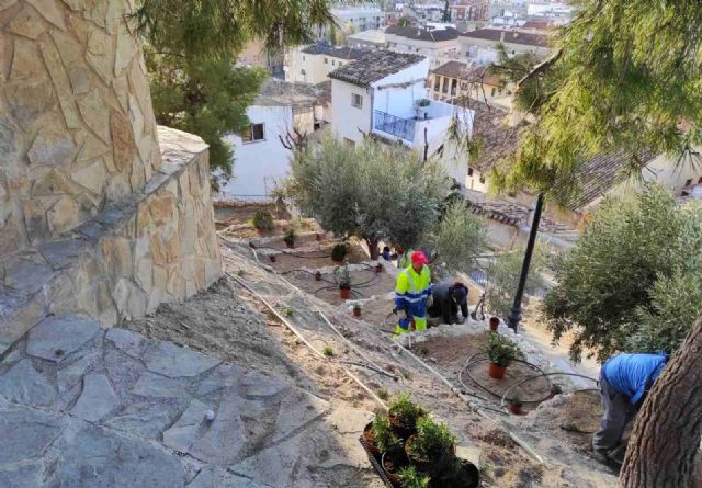 El Ayuntamiento de Caravaca planta 500 nuevos árboles y arbustos en zonas verdes del casco urbano y pedanías - 4, Foto 4
