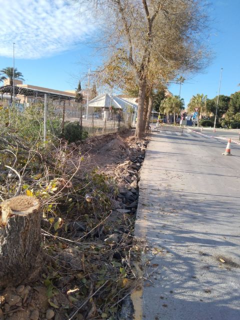 Indignación en Espinardo ante el inicio de la tala de árboles en Teniente Montesinos - 4, Foto 4