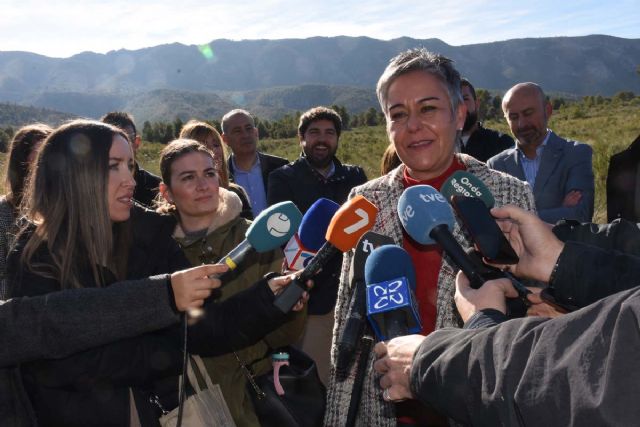 Plantan de 7.000 unidades de pino Carrasco en la Sierra del Molino - 2, Foto 2