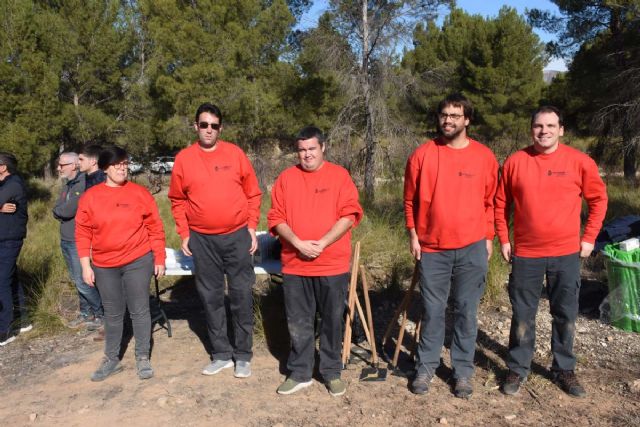 Plantan de 7.000 unidades de pino Carrasco en la Sierra del Molino - 5, Foto 5