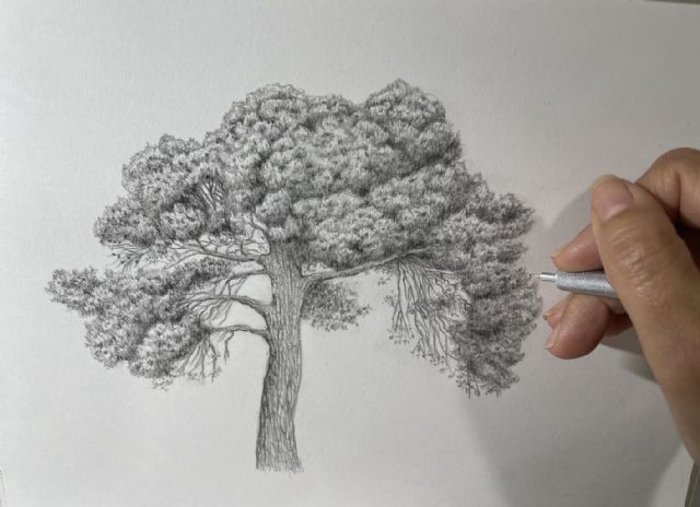 El mupe muestra la vegetación del pasado a través de la exposición paleolight - 2, Foto 2