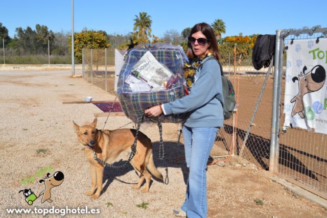 ‘CANpanadas’ reúne a decenas de personas y recauda cerca de 800 euros para protectoras de animales en Los Alcázares - 3, Foto 3