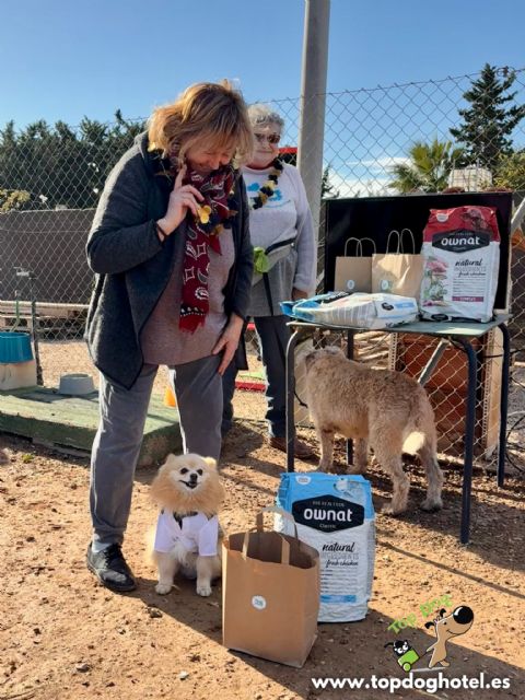 ‘CANpanadas’ reúne a decenas de personas y recauda cerca de 800 euros para protectoras de animales en Los Alcázares - 4, Foto 4