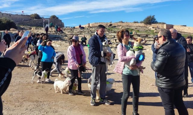 Regresan las actividades de ocio y convivencia con motivo del Día de San Antón en las que las mascotas son las protagonistas - 2, Foto 2