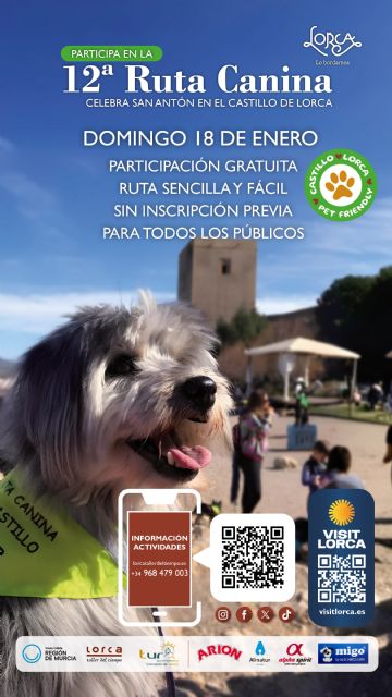 Regresan las actividades de ocio y convivencia con motivo del Día de San Antón en las que las mascotas son las protagonistas - 3, Foto 3