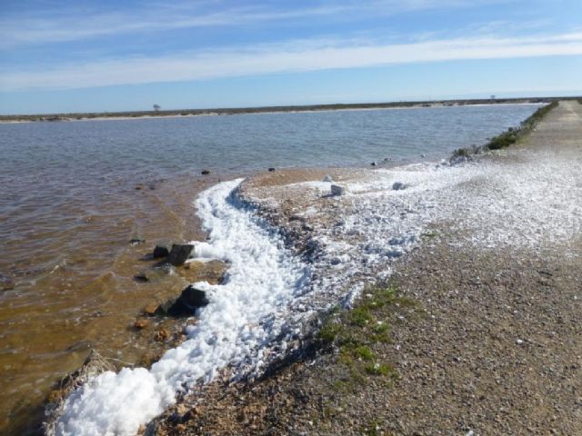 Medio Ambiente aclara que la espuma blanca de las charcas de las Salinas de San Pedro del Pinatar se debe a un proceso natural - 1, Foto 1